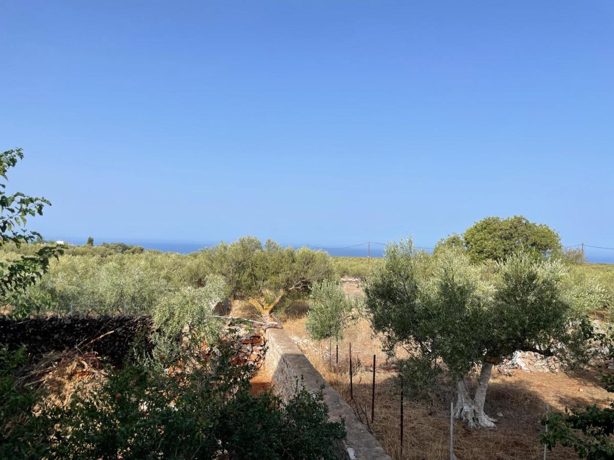 Апартаменты Casa Blanca II Pyrgos Dirou Экстерьер фото
